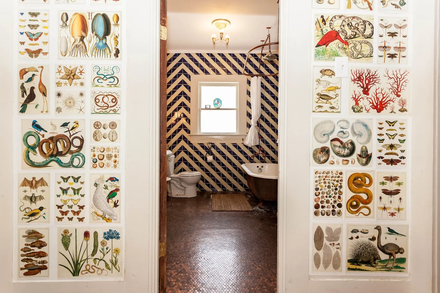 Botanical wallpaper framing a bathroom with a chevron-patterned wall — 2nd St, Austin, Texas