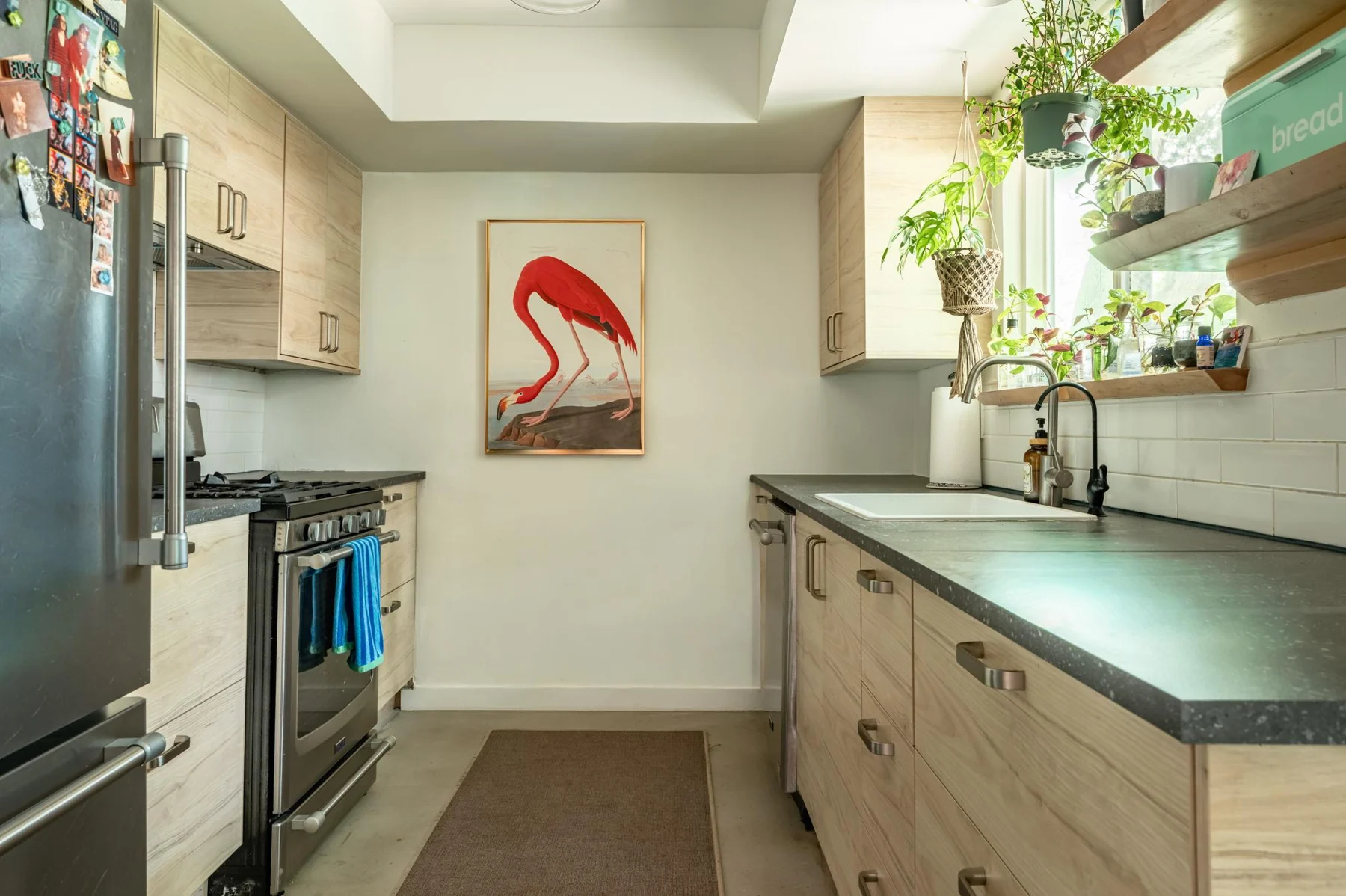 Kitchen with pale wood cabinets and a flamingo print — Woodhue, South Austin, Texas