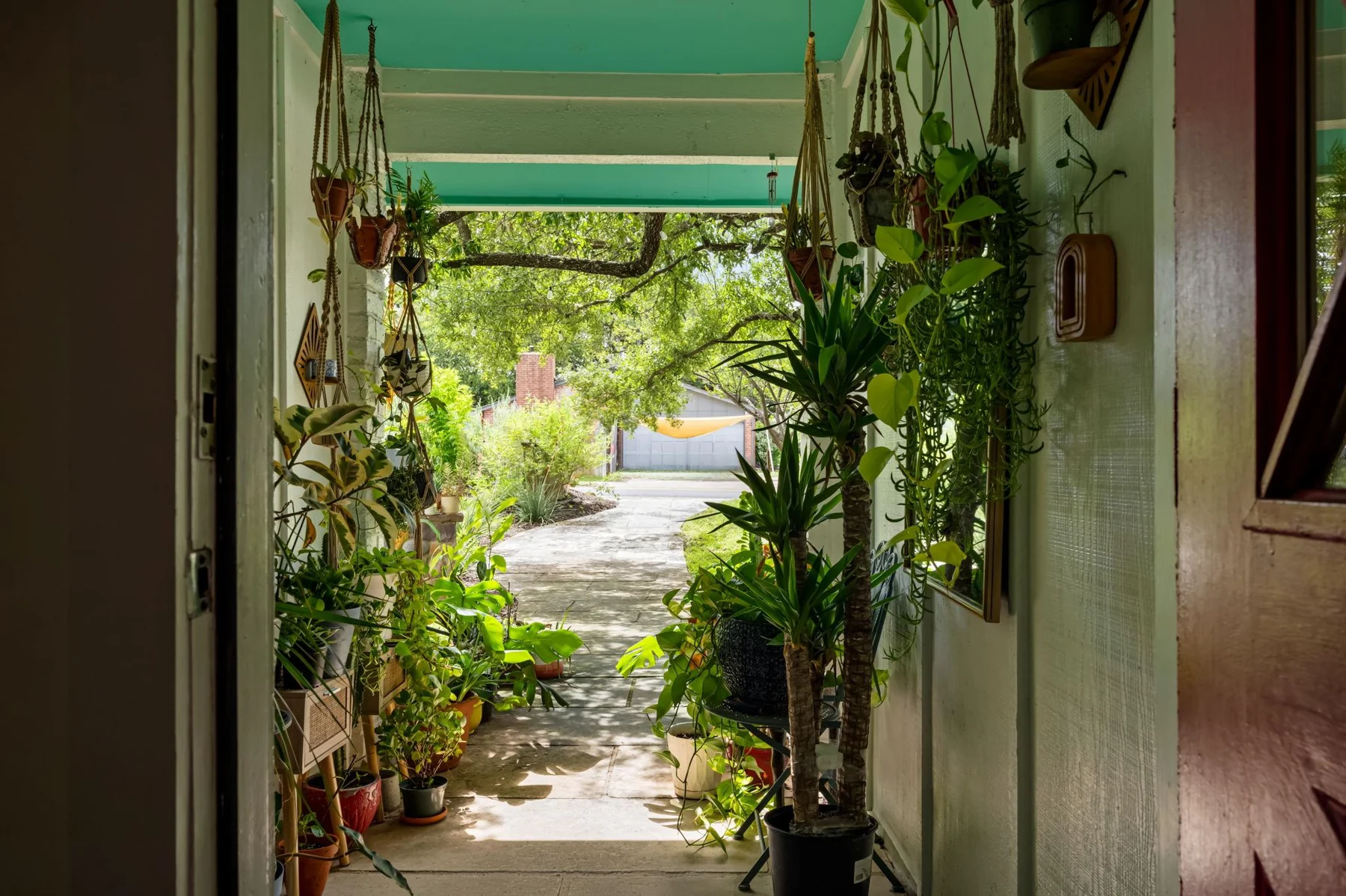 Plant-filled entry porch looking toward the garden — Woodhue, South Austin, Texas